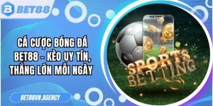 Cá Cược Bóng Đá