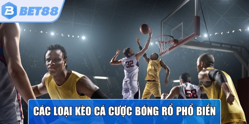 Các hình thức kèo cược trong bóng rổ phổ biến