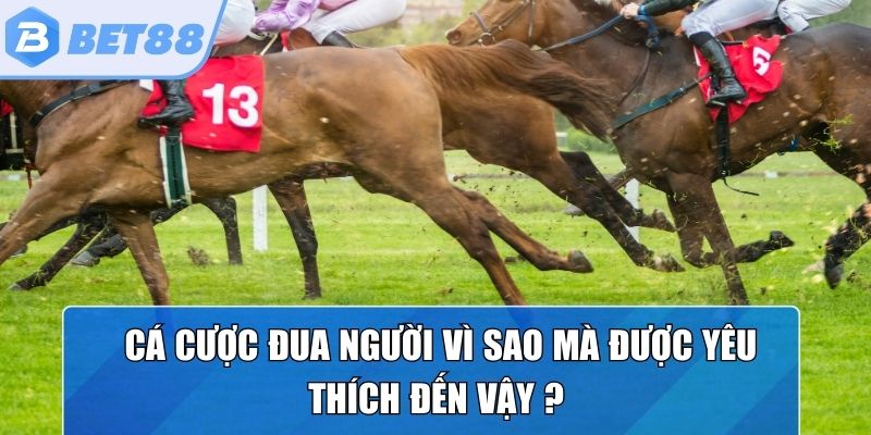 Lý do nhiều người chơi thích cá cược đua ngựa 