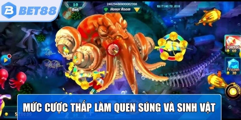 Mức cược thấp để hội viên làm quen với súng và sinh vật