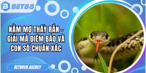 Nằm Mơ Thấy Rắn