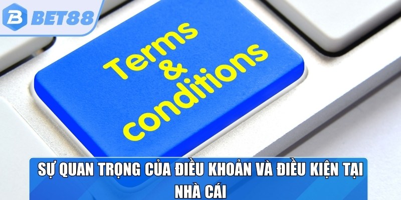 Sự quan trọng của điều khoản điều kiện tại nhà cái