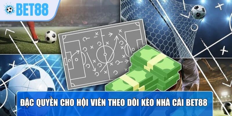 Đặc quyền cho hội viên theo dõi kèo nhà cái Bet88