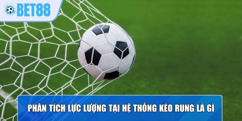 Phân tích lực lượng tại hệ thống kèo rung là gì